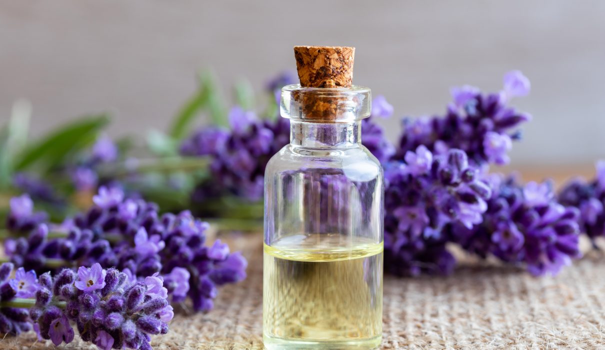 A,Bottle,Of,Essential,Oil,With,Fresh,Blooming,Lavender,Twigs
